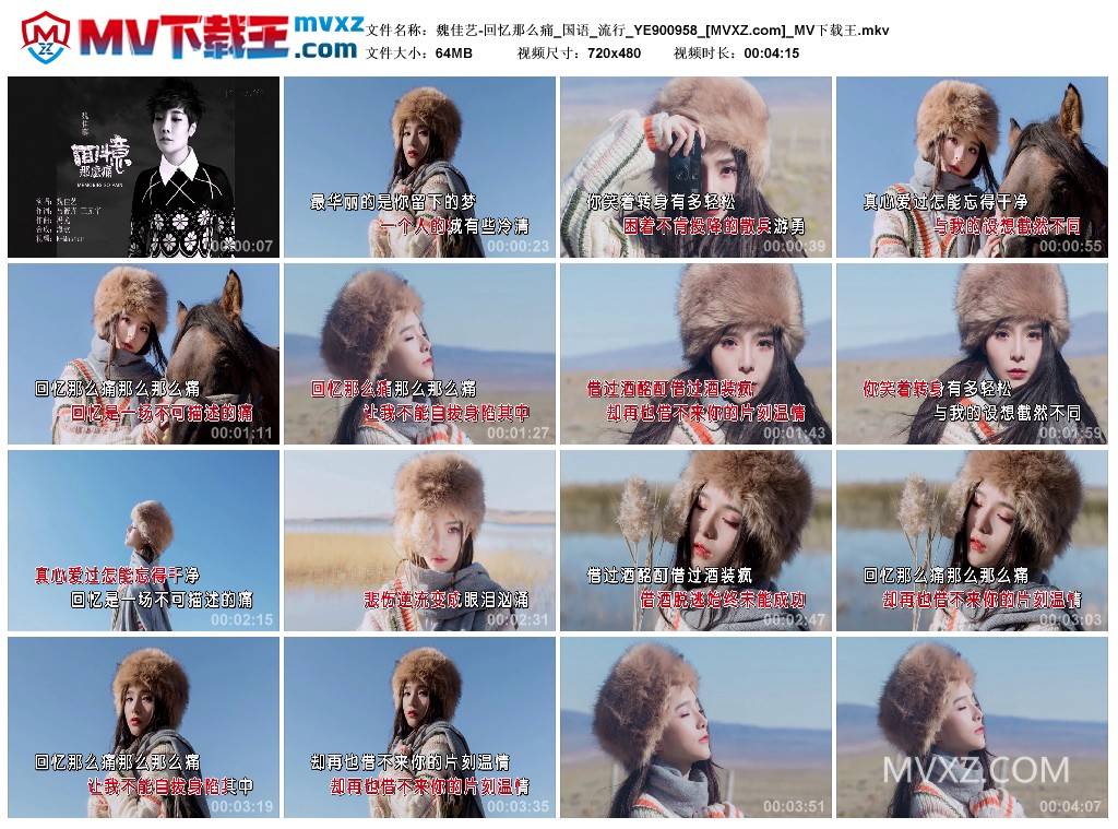 魏佳艺-回忆那么痛_国语_流行_YE900958